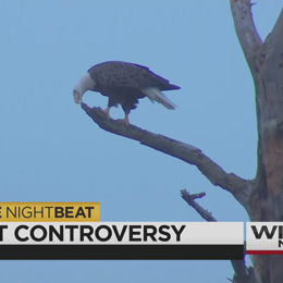 https://www.winknews.com/2018/04/12/cape-coral-mulls-construction-guidelines-near-eagle-nests/